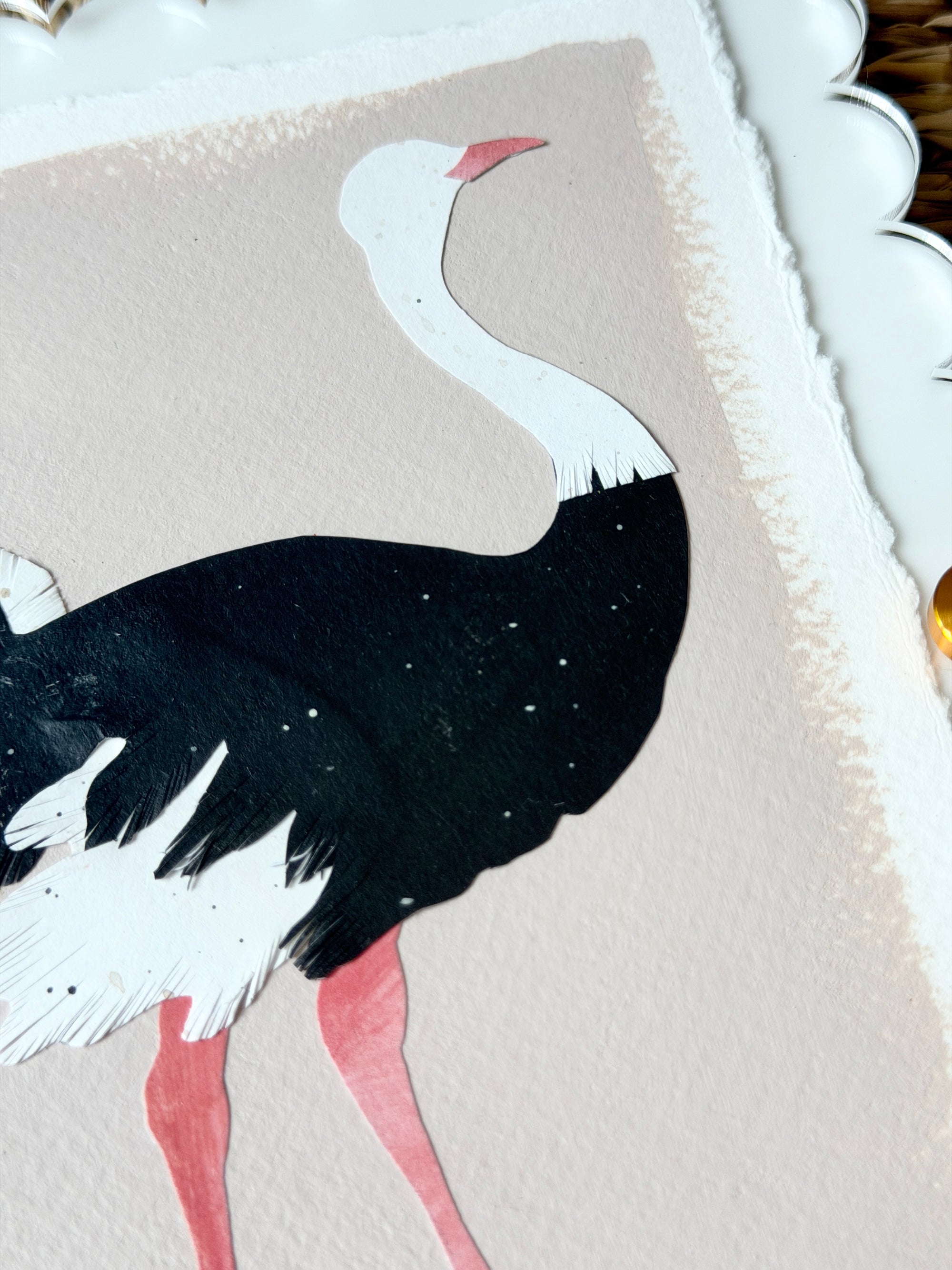 Mini Ostrich on Pink