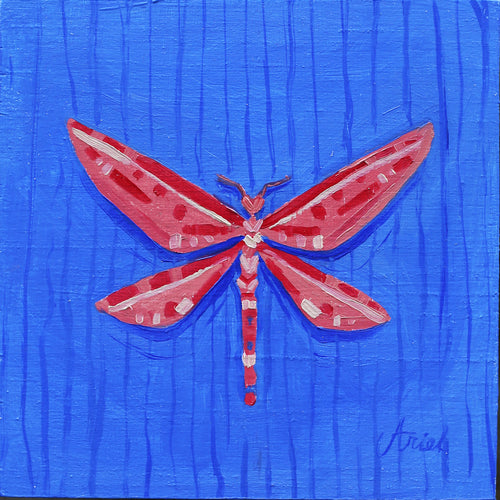 Mini Red Dragon