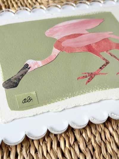 Mini Spoonbill on Green