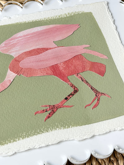 Mini Spoonbill on Green