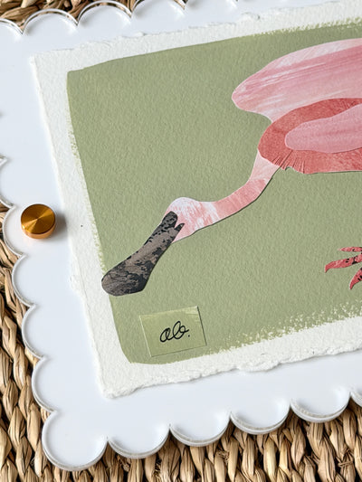 Mini Spoonbill on Green