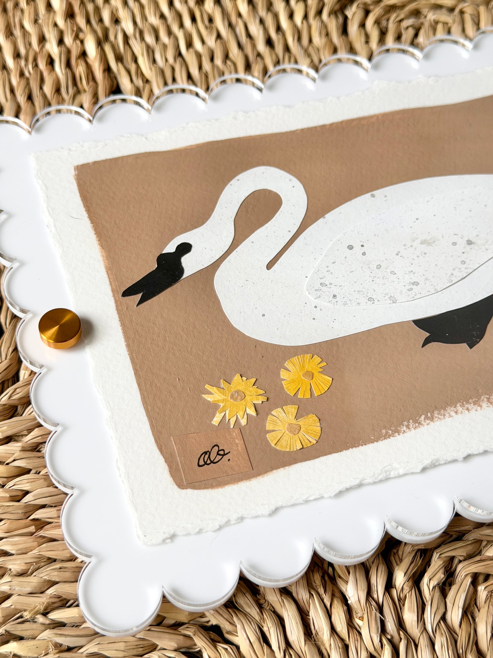 Mini Swan on Brown