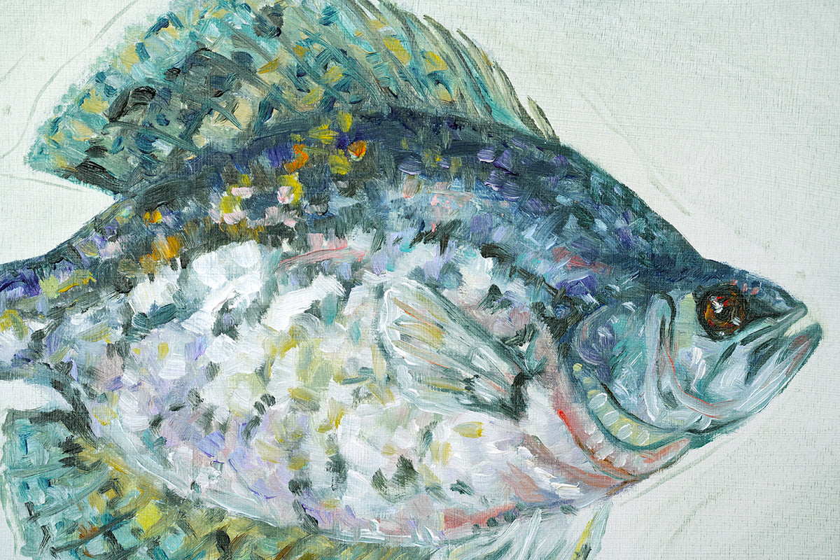 Mr. Crappie