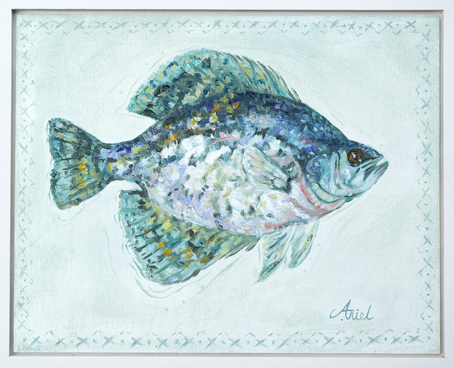 Mr. Crappie