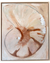 Nautilus I