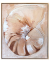 Nautilus II