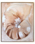 Nautilus II