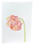 Orange Market Flower Left
