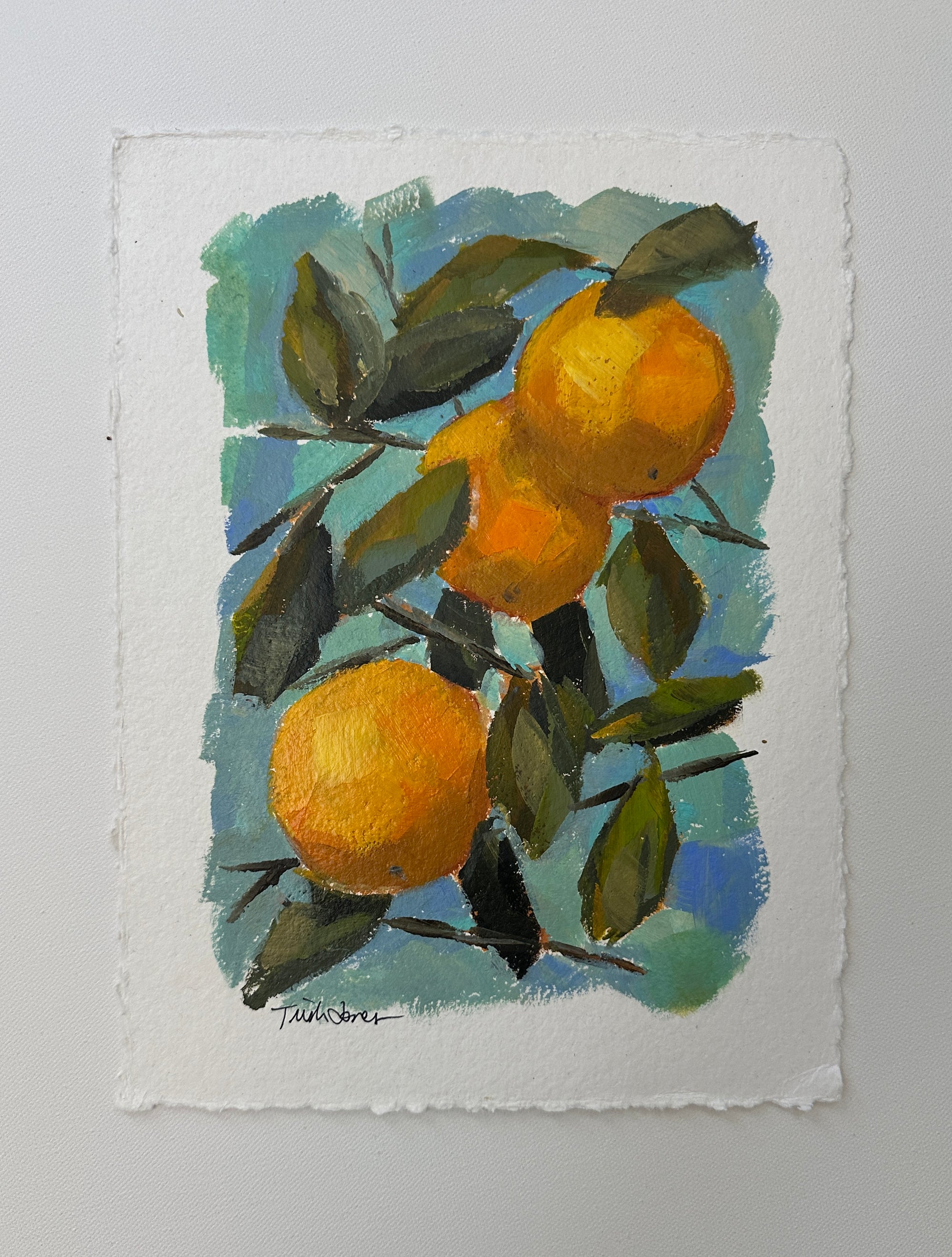 Orange Tree