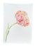 Orange and Red Market Flower Right