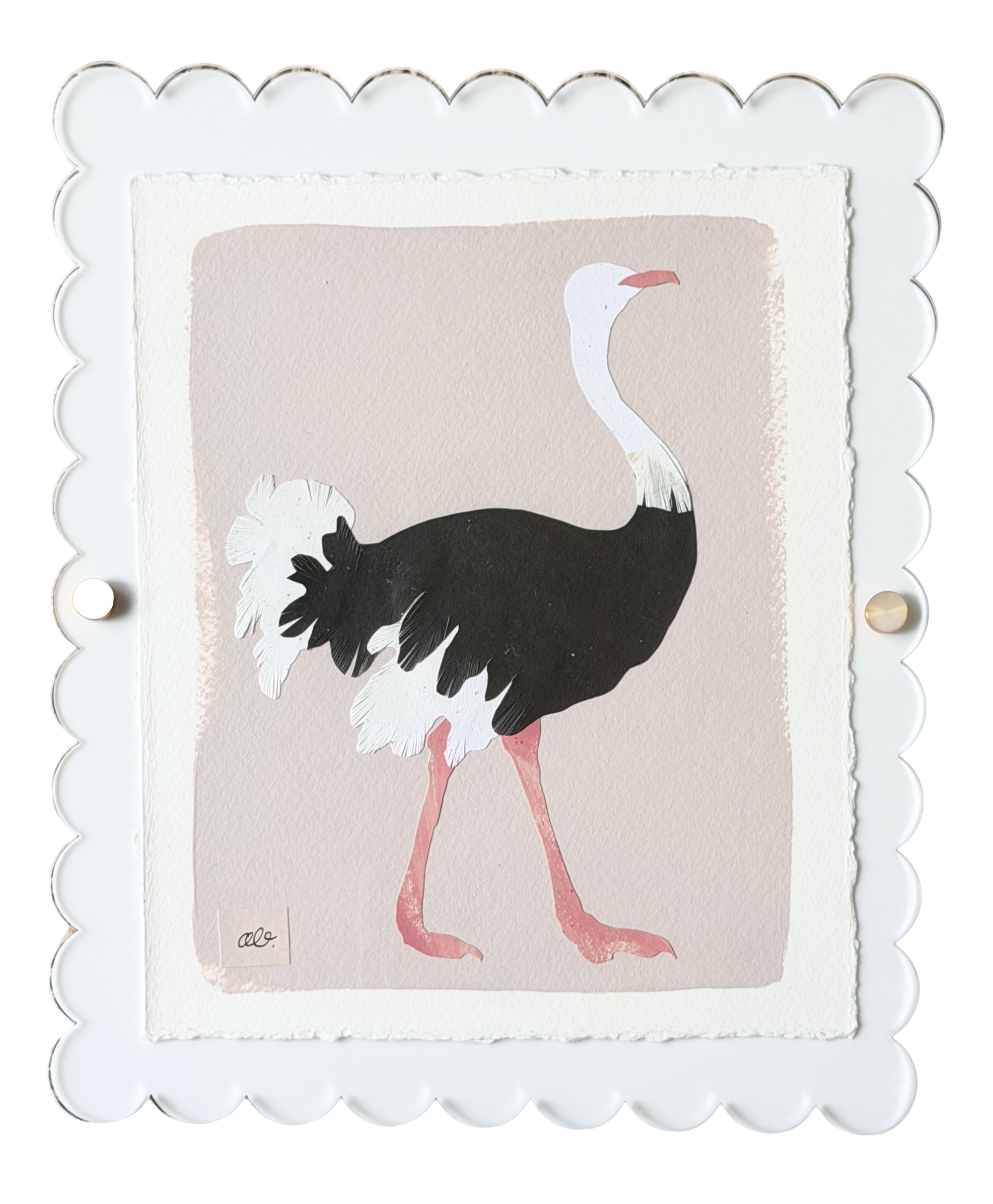 Ostrich on Pink