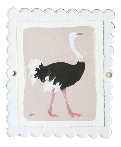 Ostrich on Pink