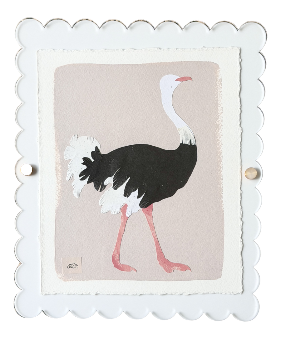 Ostrich on Pink