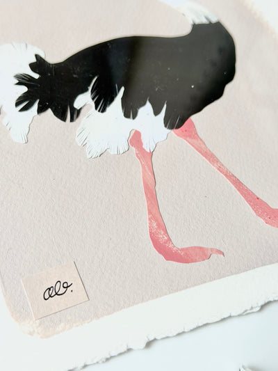 Ostrich on Pink