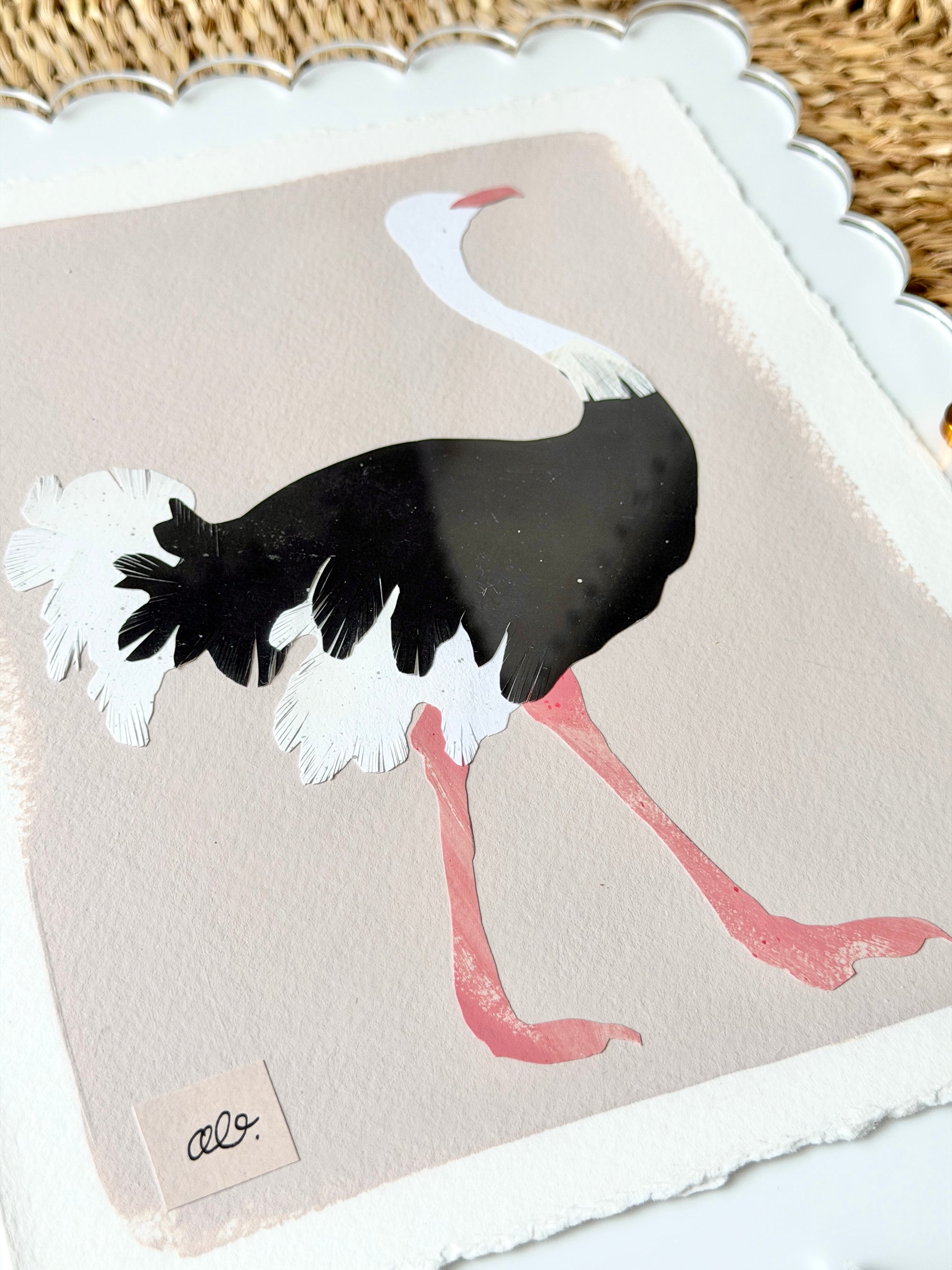 Ostrich on Pink