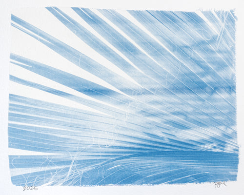 Palm No. 2
