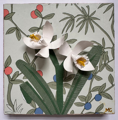 Paperwhites at Berry Daybreak