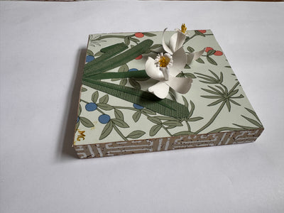 Paperwhites at Berry Daybreak