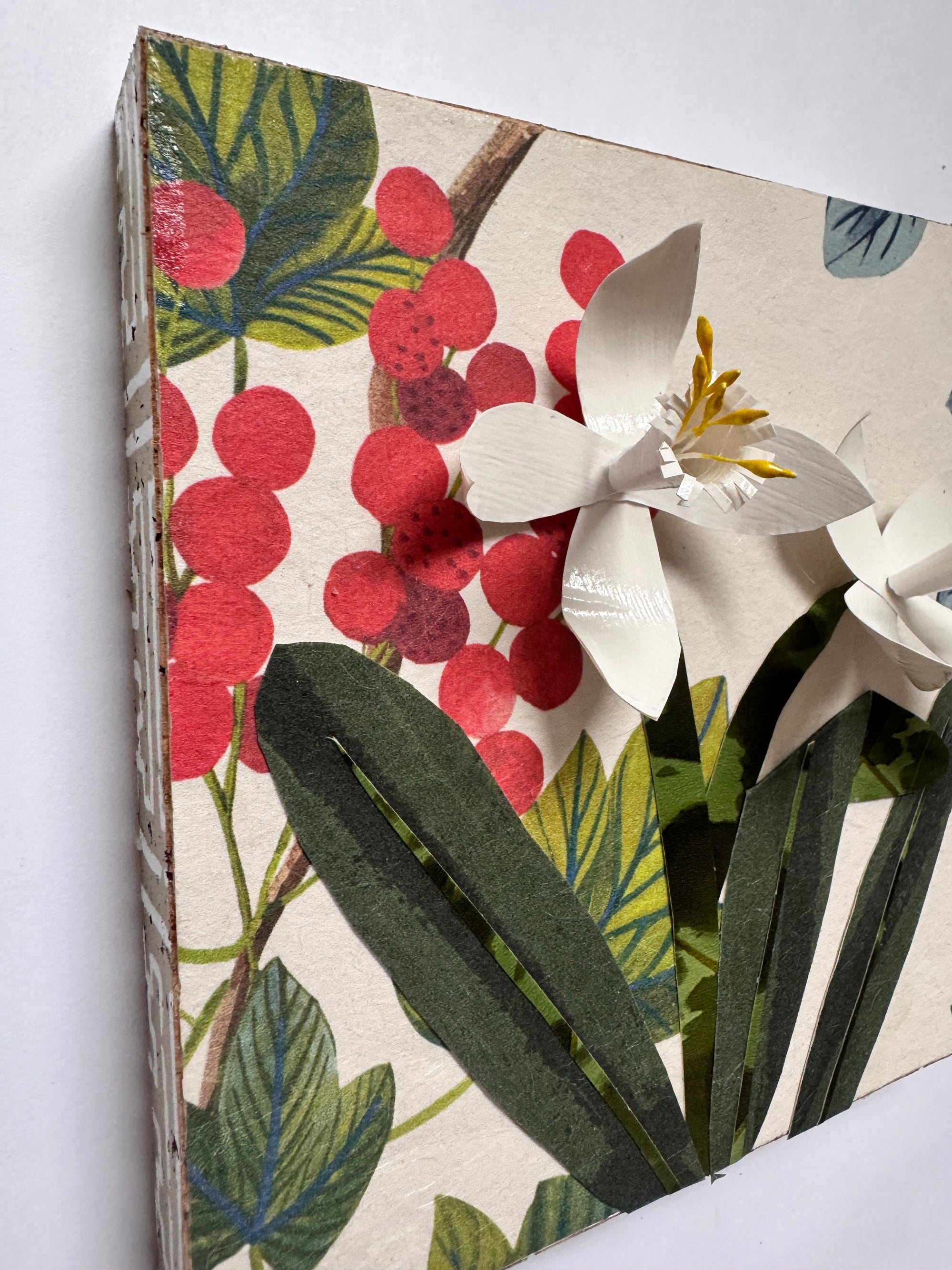 Paperwhites in Warm Winter Woods