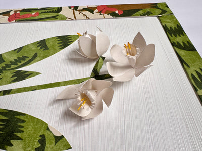 Paperwhites of the Winter Trail