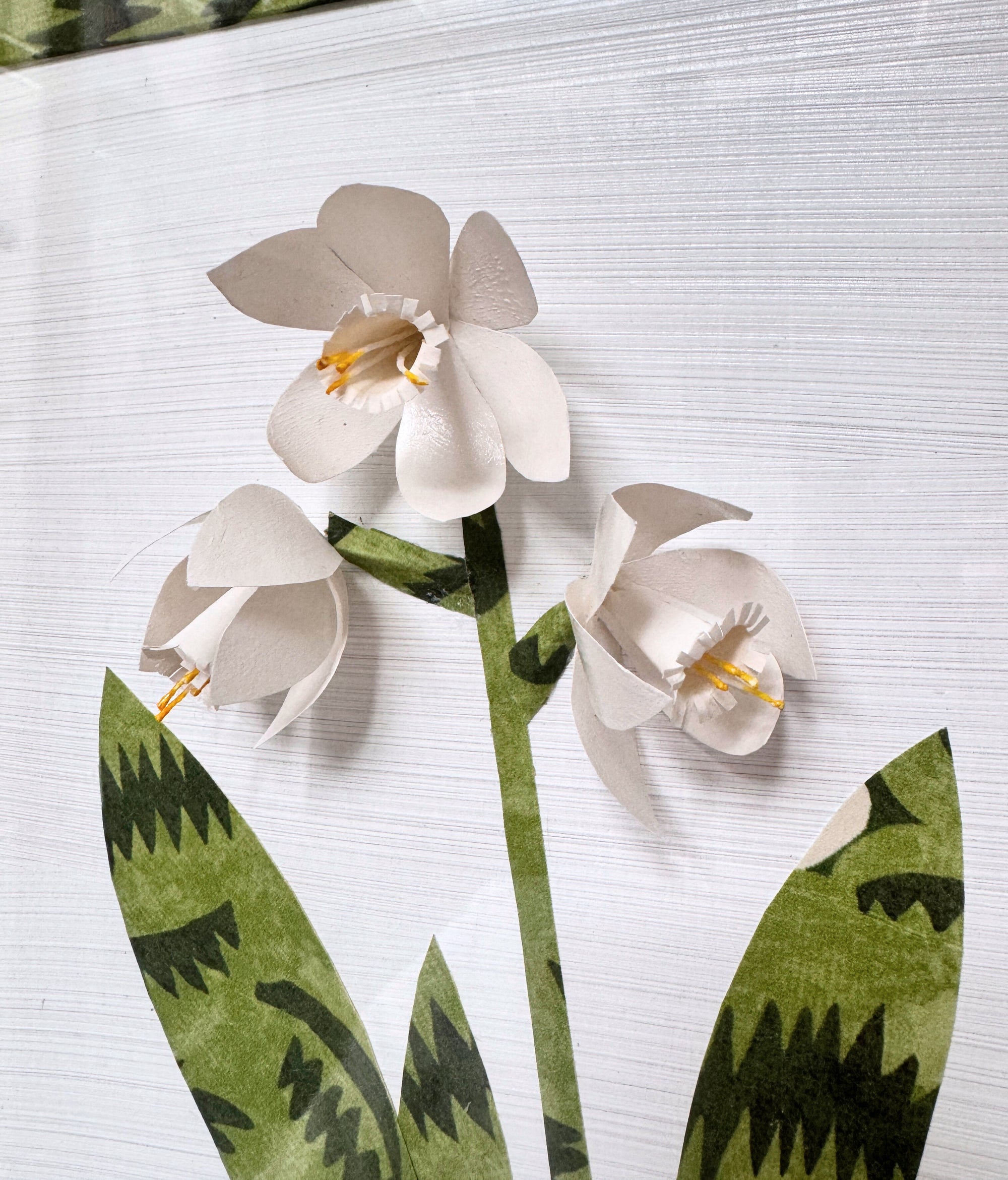 Paperwhites of the Winter Trail