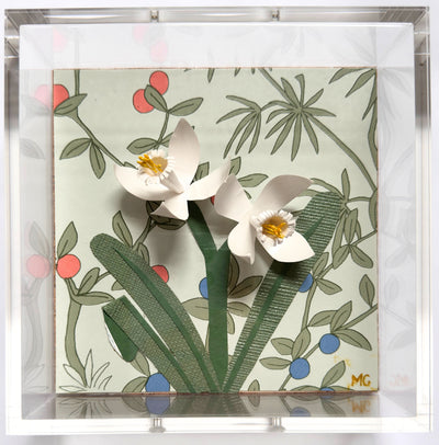 Paperwhites at Berry Daybreak