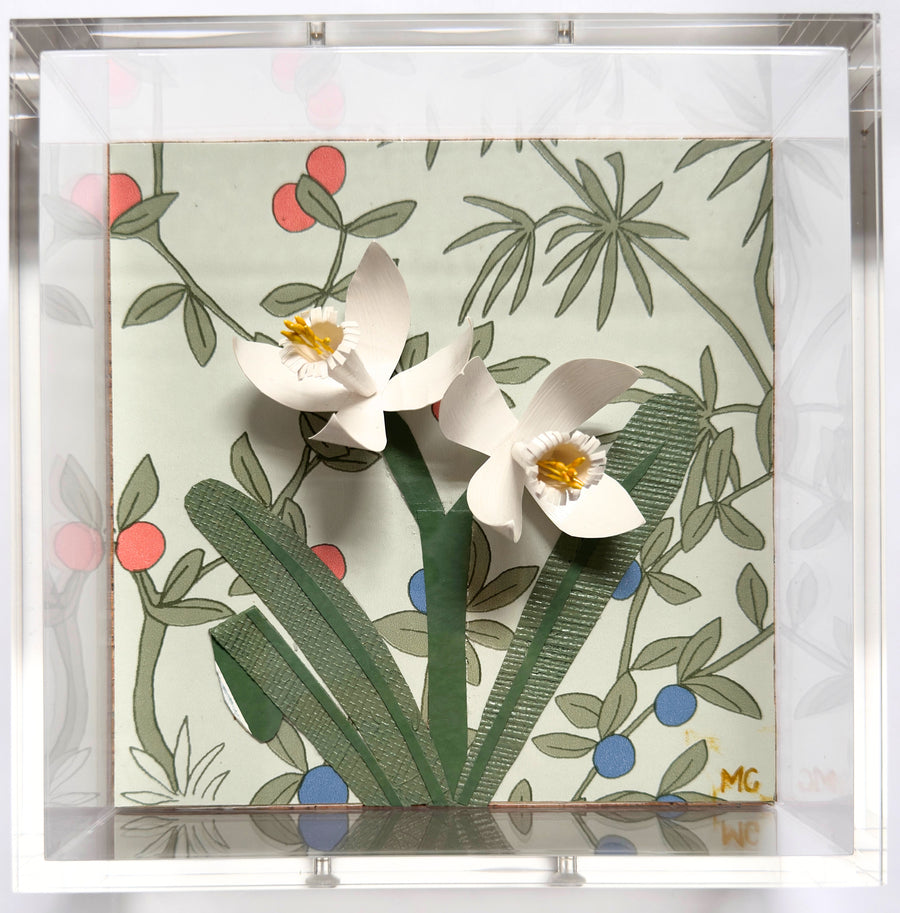 Paperwhites at Berry Daybreak