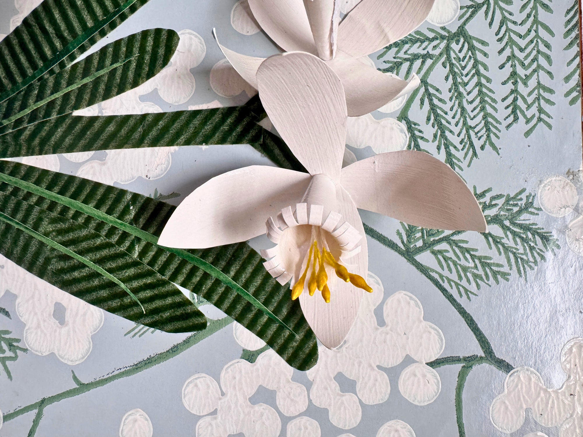 Paperwhites After First Frost