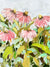 Pink Coneflower