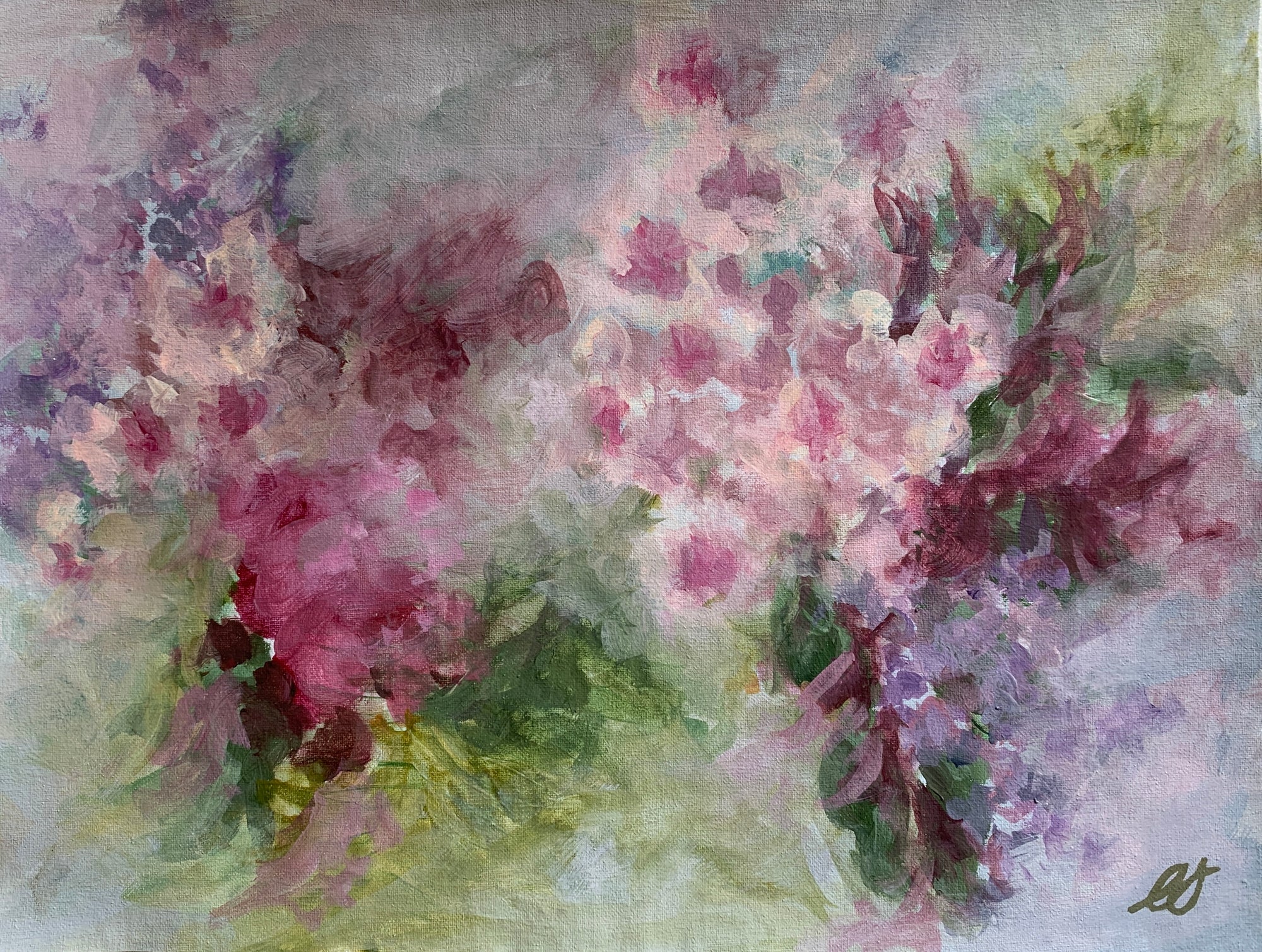 Pink Lace Azalea