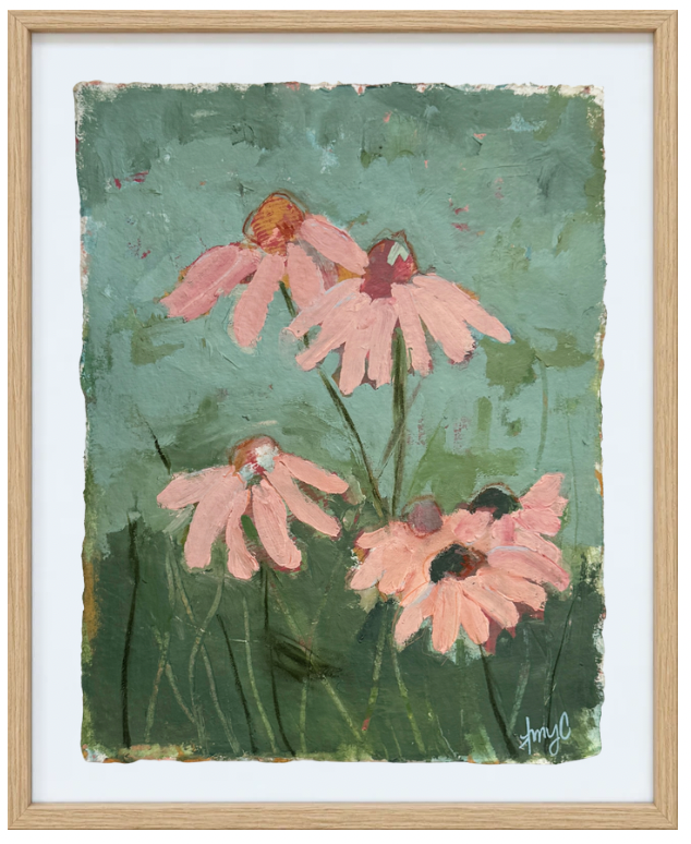 Pink Lemonade Coneflower