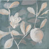 Pomegranate Branches