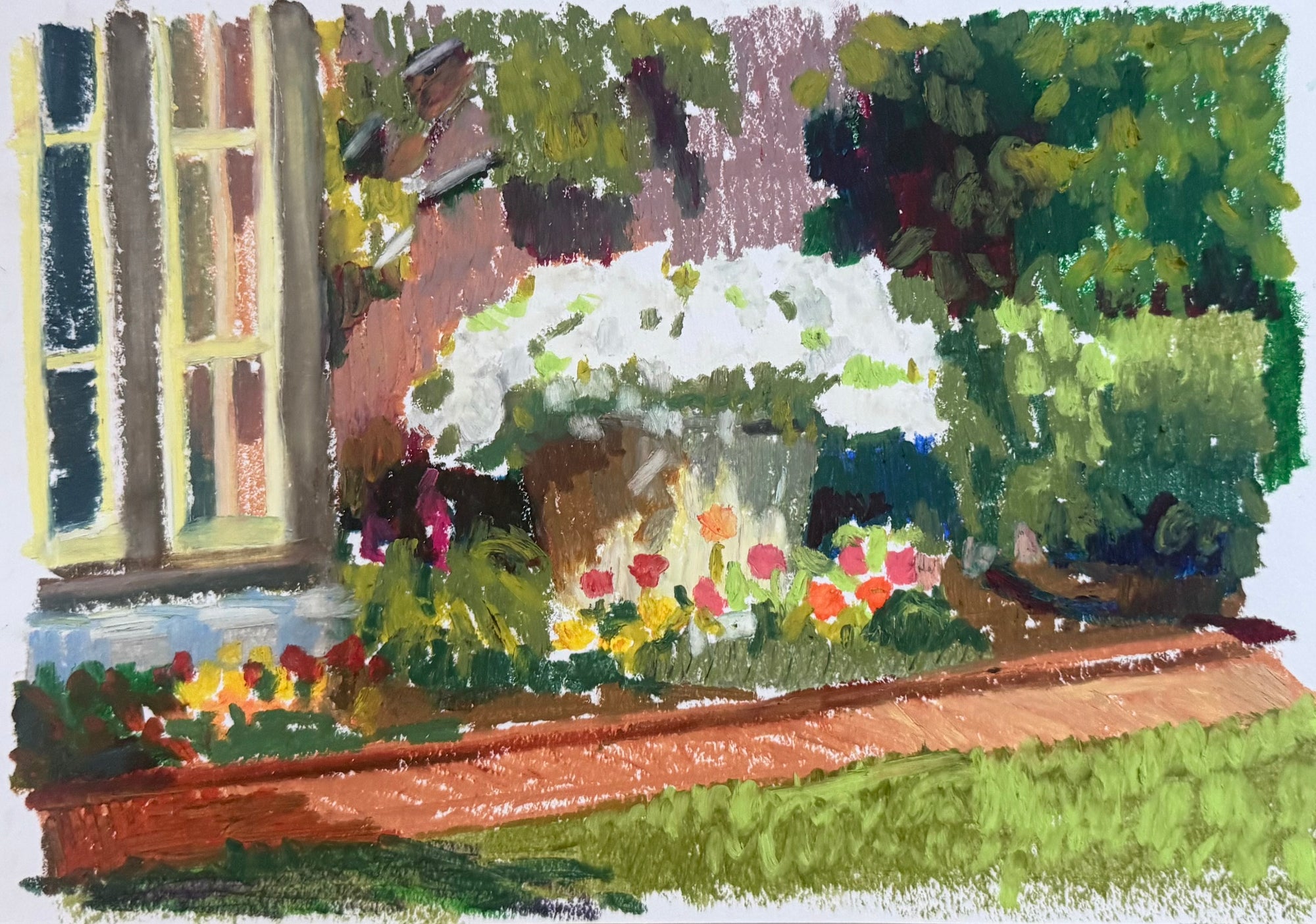 Potted Petunias