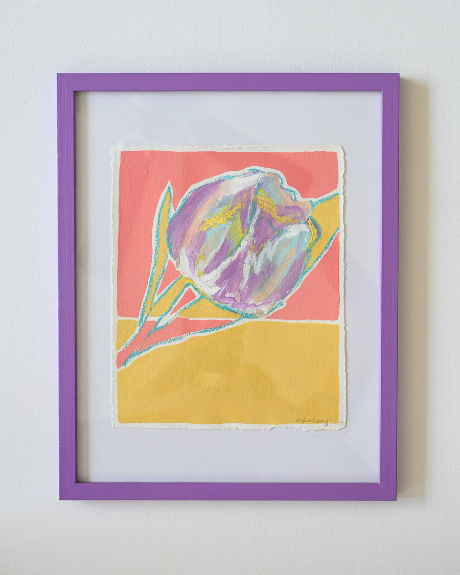 Purple Tulip on Coral 1