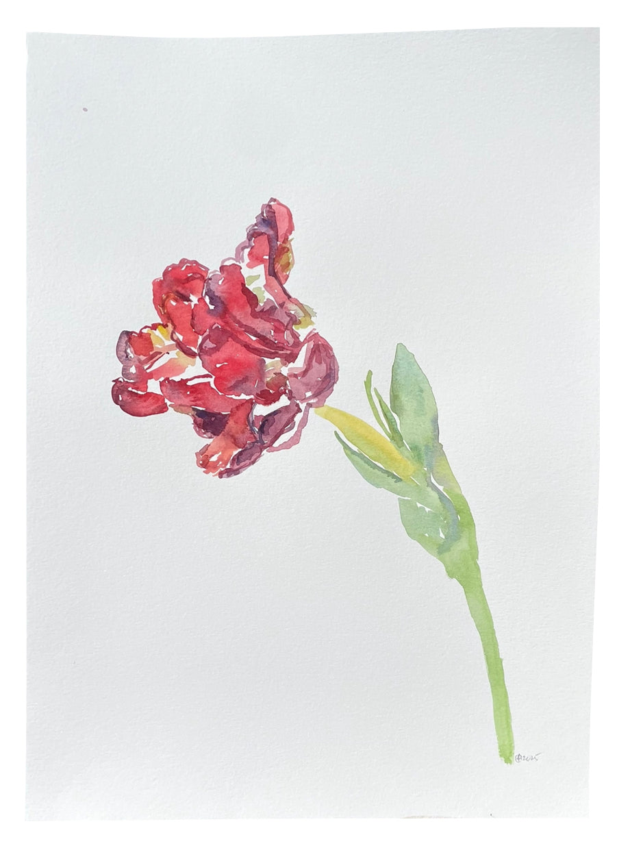 Red Market Tulip Left