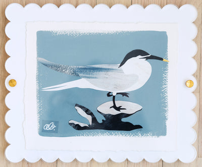 Royal Tern on Blue