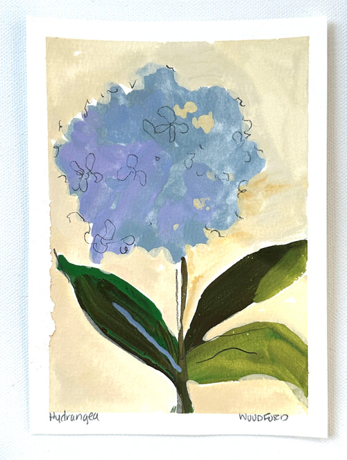 Hydrangea Blues