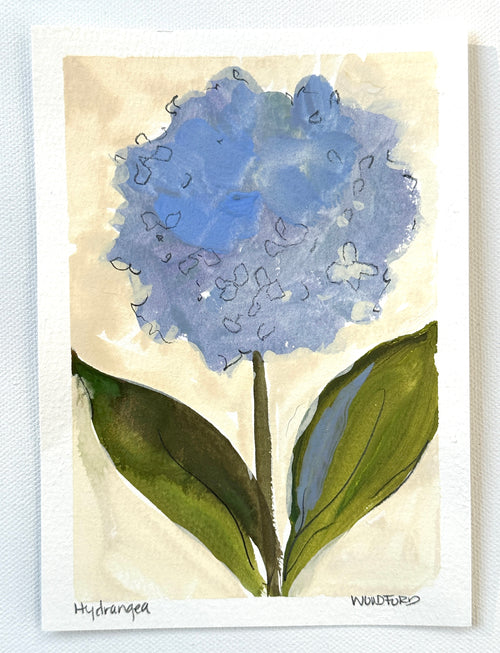 Hydrangea Blue