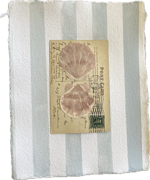 Scallop Collage on Postcard III
