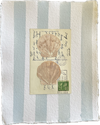 Scallop Collage on Postcard II