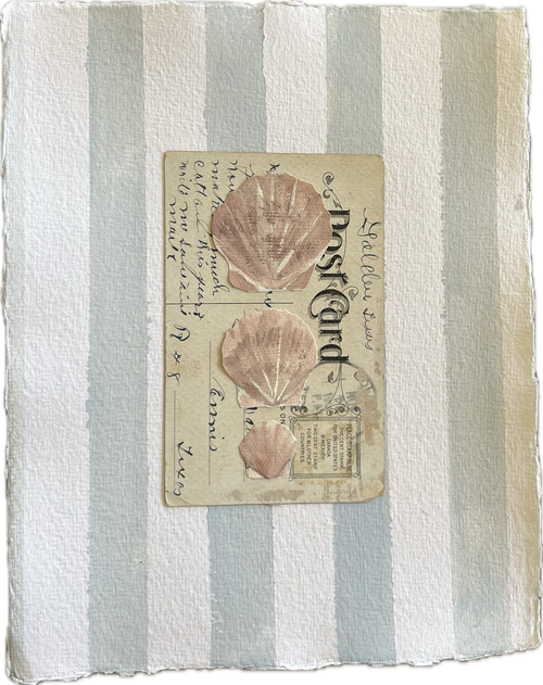 Scallop Collage on Postcard I