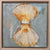 Scallop Shells