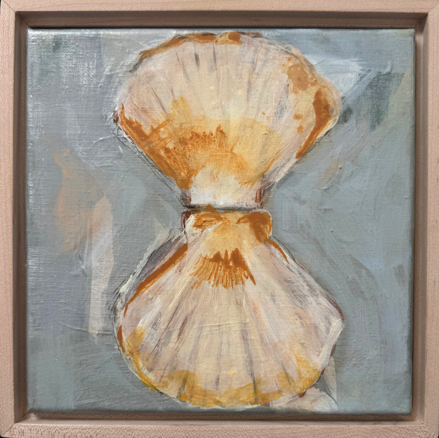 Scallop Shells