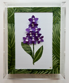 July Larkspur