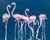 Flamboyance