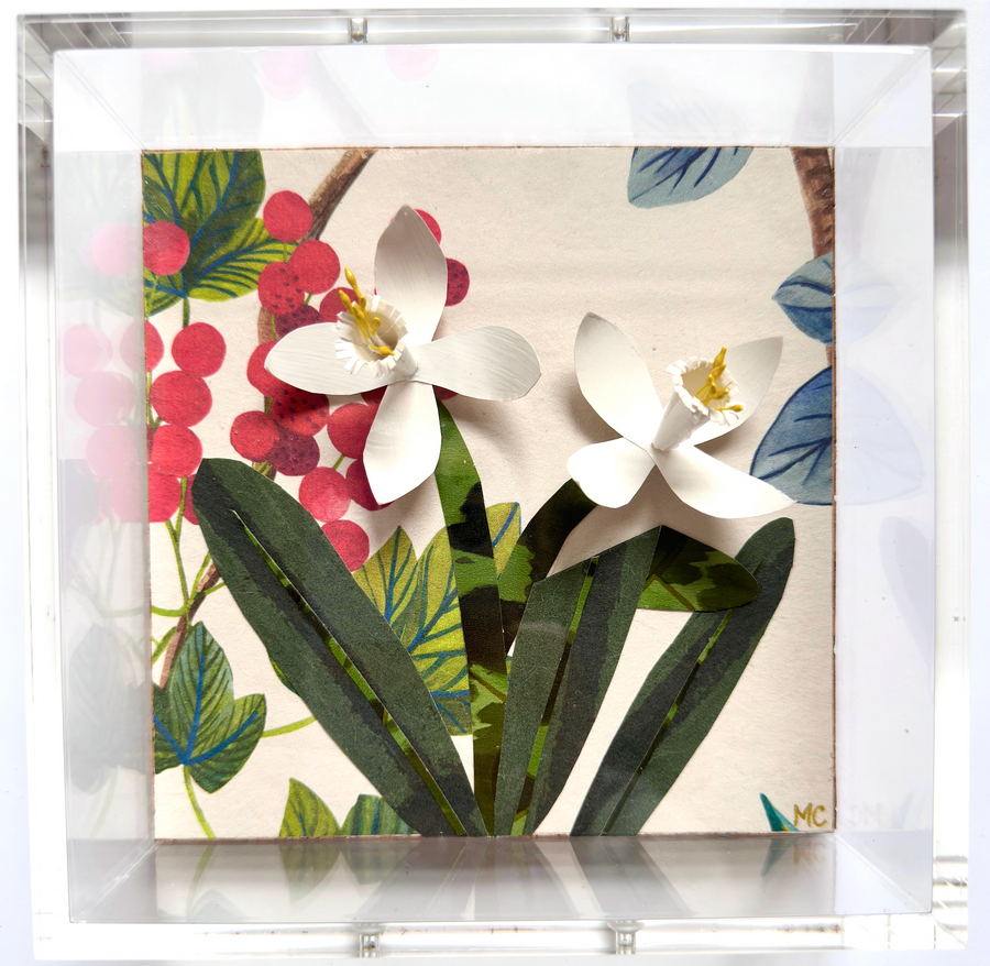 Paperwhites in Warm Winter Woods