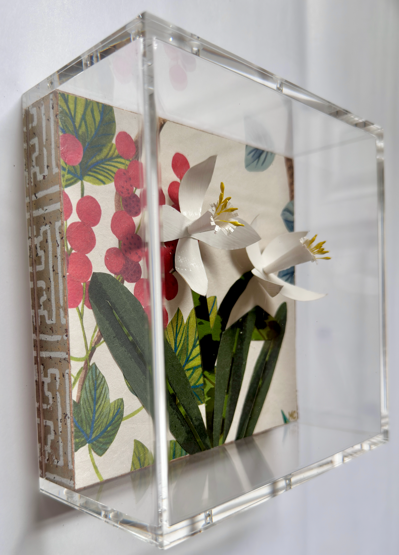 Paperwhites in Warm Winter Woods