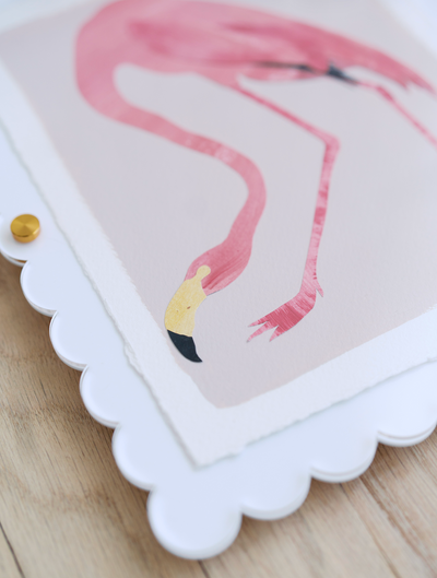 American Flamingo on Pink