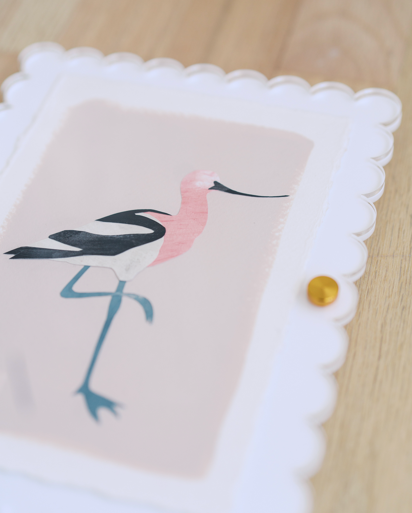 Mini Avocet on Pink