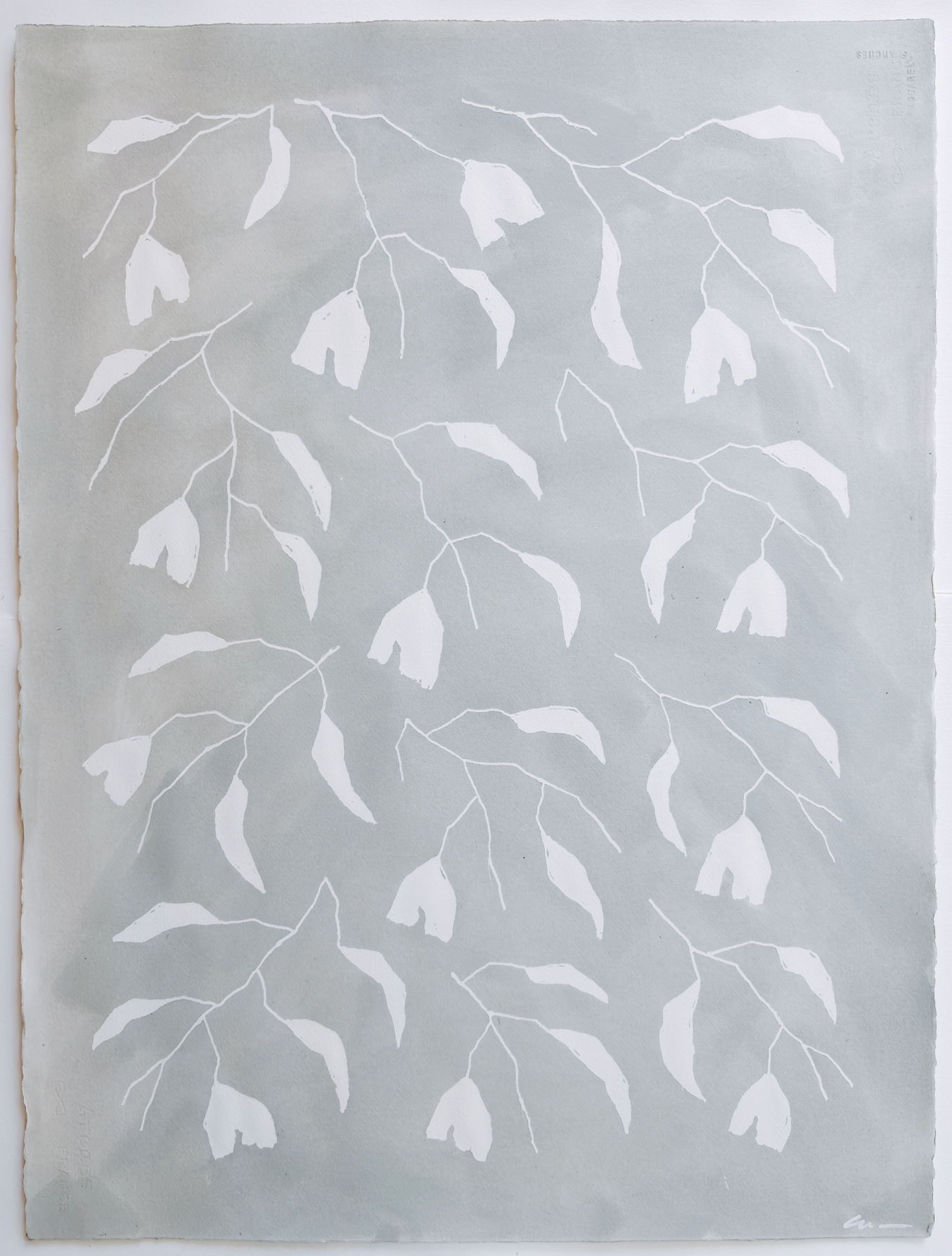 Mizzle (2)